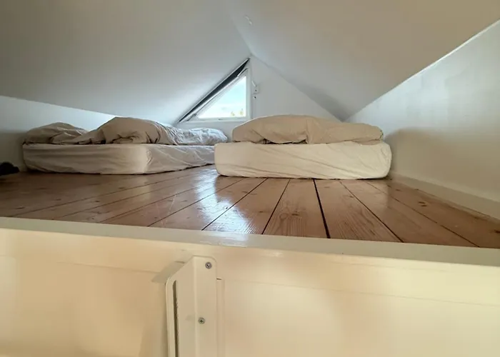 Cozy Harbor House In *