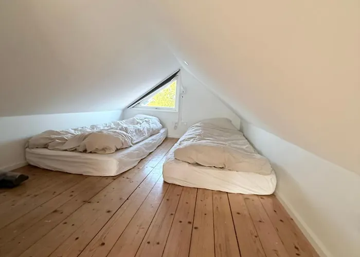 Cozy Harbor House In Holiday home *
